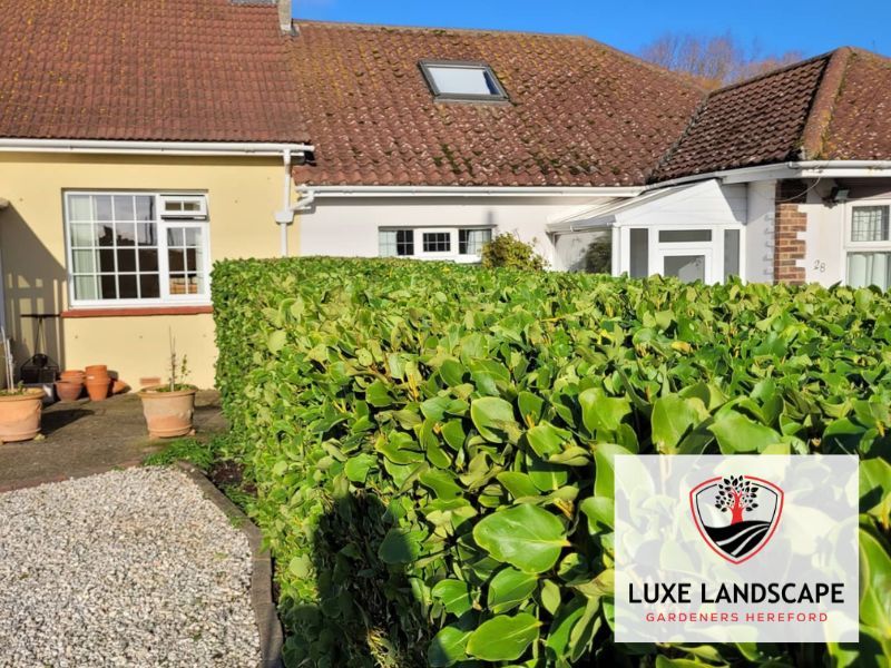 Garden Hereford landscape maintenance