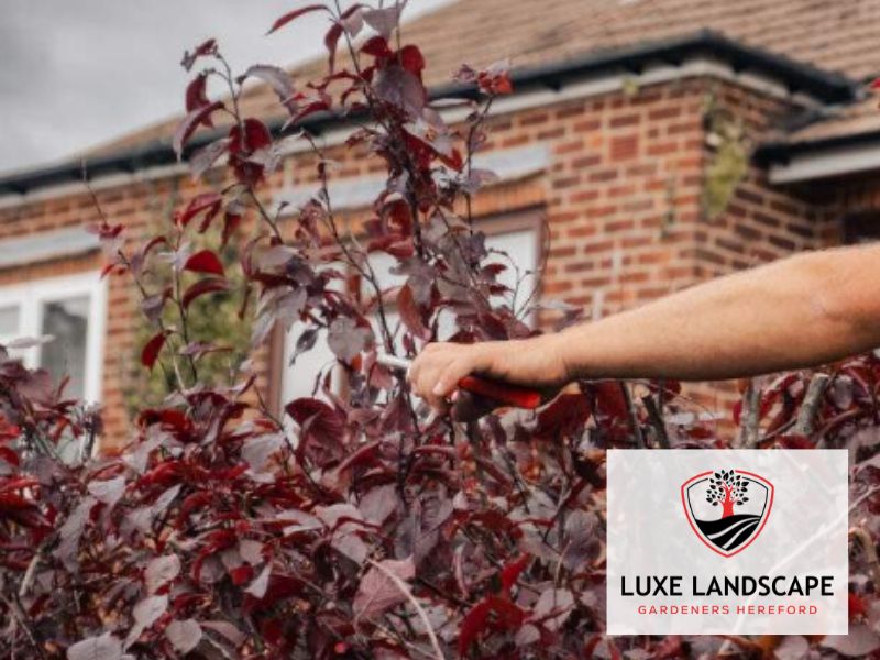 Hereford landscape maintenance Garden