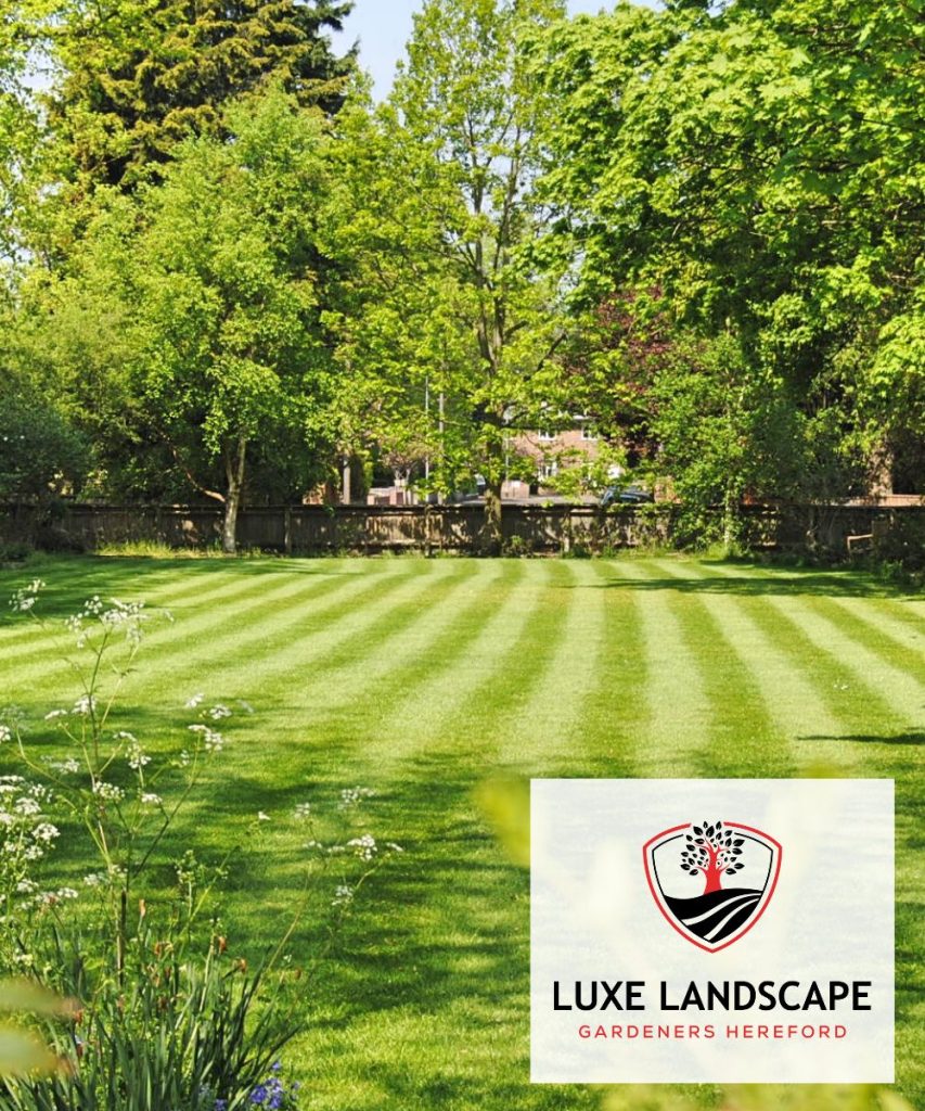 Lawn Care Hereford extra mile
