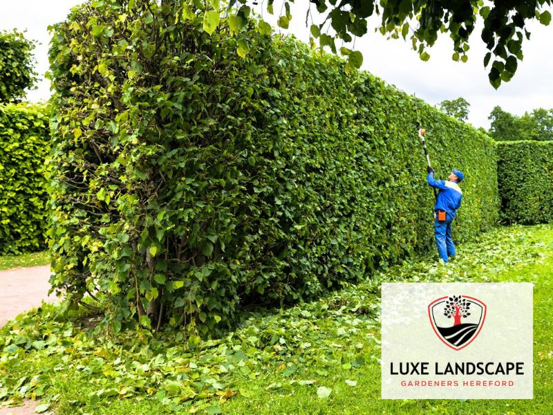 landscape maintenance Garden HR1 Hereford