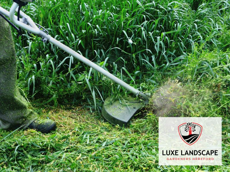 landscape maintenance Garden Hereford professional
