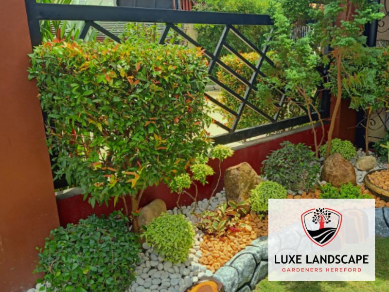 landscape maintenance Garden Hereford